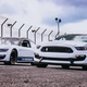 Image for article titled Here’s the Ford Mustang That Will Race in NASCAR’s Top Series Next Year